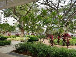 Blk 70C Telok Blangah Ridgeview (Bukit Merah), HDB 4 Rooms #520255911